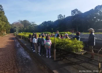 Fotos: Divulgação/ICC