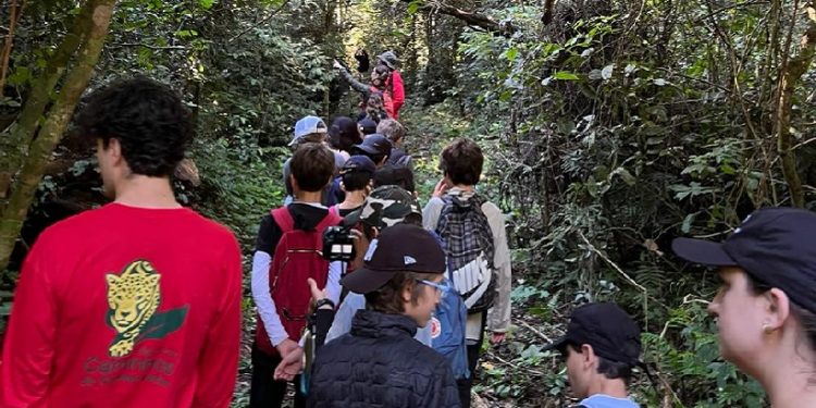 Crédito fotográfico: Arquivo ICC