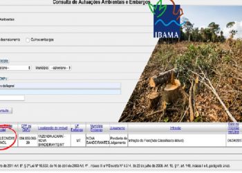 Documento do Ibama registra autuação de Xavier Dallagnol. (Fonte: Ibama)