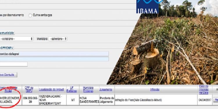 Documento do Ibama registra autuação de Xavier Dallagnol. (Fonte: Ibama)