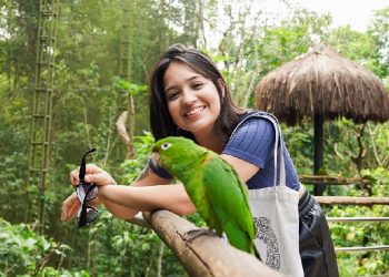Foto: Divulgação/Parque das Aves