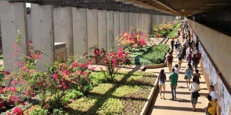 Universidade de Brasília: uma das universidades alvo de cortes é a UNB (Universidade de Brasília (UNB)/Facebook)