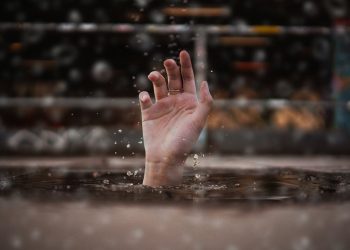 Foto: Luca Nardone/Pexels