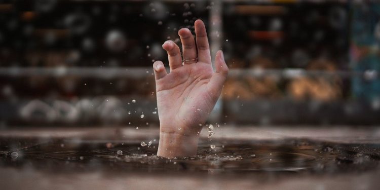Foto: Luca Nardone/Pexels Foto: Luca Nardone/Pexels