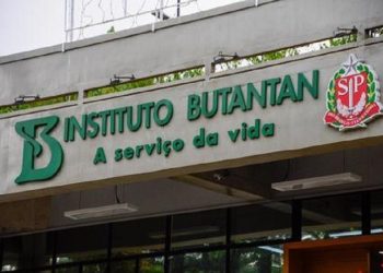 Crédito: Reprodução/Divulgação