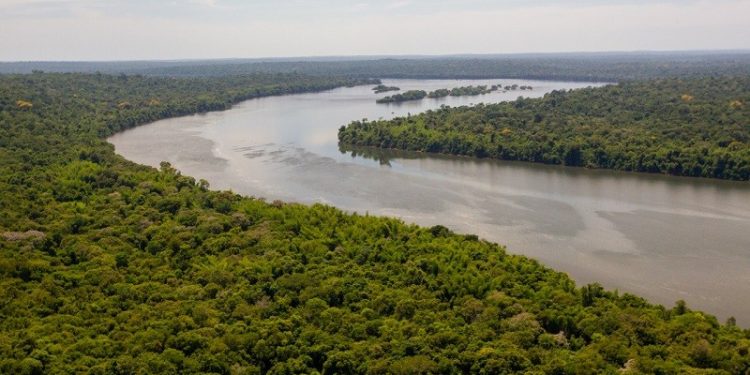Parque Nacional do Iguaçu - Foto: Bruno Bimbato Parque Nacional do Iguaçu - Foto: Bruno Bimbato