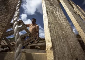 O pernambucano Carlos André dos Santos aprendeu a sobreviver do lixo e criou cooperativa que ajuda centenas de pessoas  - Fotos: Heudes Regos