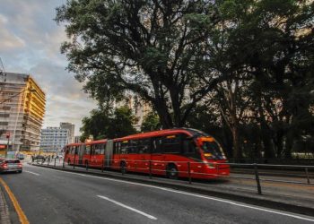 Foto: Pedro Ribas/SMCS