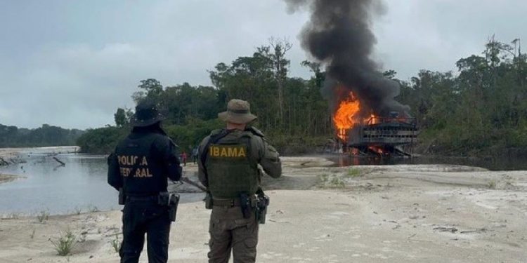 Operação conjunta da Polícia Federal e do Ibama de combate ao garimpo ilegal em terra indígena no Amazonas - Foto: PF Operação conjunta da Polícia Federal e do Ibama de combate ao garimpo ilegal em terra indígena no Amazonas - Foto: PF