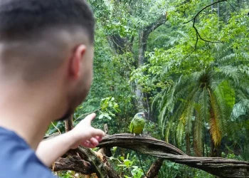 Foto: Divulgação/Parque das Aves