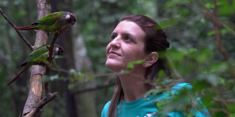 Paloma Bosso, diretora técnica do Parque das Aves (Créditos - Parque das Aves) Paloma Bosso, diretora técnica do Parque das Aves (Créditos - Parque das Aves)