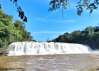 Imagem do Polo Ilhas do Iguaçu, em Capanema. Crédito: Parque Nacional do Iguaçu / ICMBio