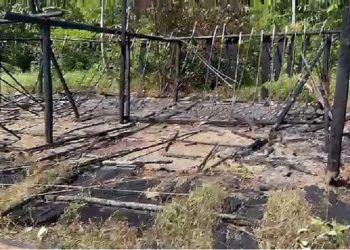 Comunidade palco de crime brutal foi encontrada queimada e abandonada - Divulgação/Júnior Yanomami