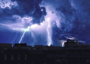 Créditos imagem: Freepik