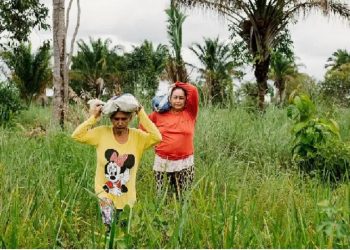 Doña Ivonete y su vecina acarrean los cocos en la cabeza. KRISTIN BETHGE