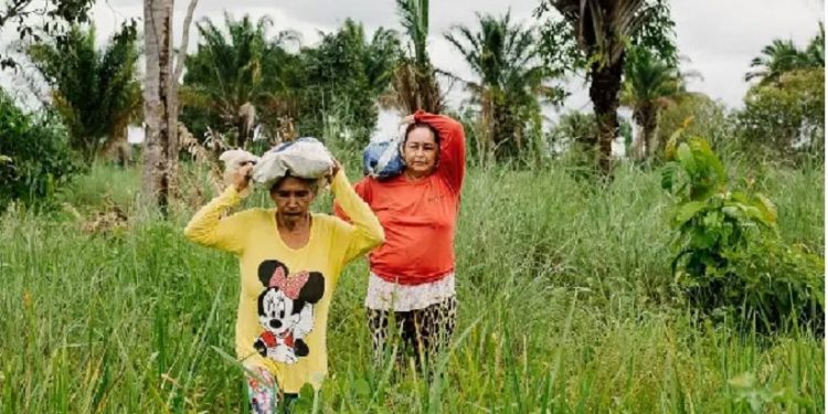 Doña Ivonete y su vecina acarrean los cocos en la cabeza. KRISTIN BETHGE Doña Ivonete y su vecina acarrean los cocos en la cabeza. KRISTIN BETHGE