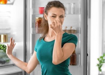 O cheiro ruim costuma ser causado por restos de comida ou alimentos estragados - Shutterstock