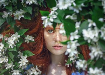 Foto: Pixabay/Pexels