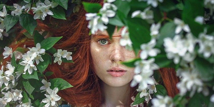 Foto: Pixabay/Pexels
