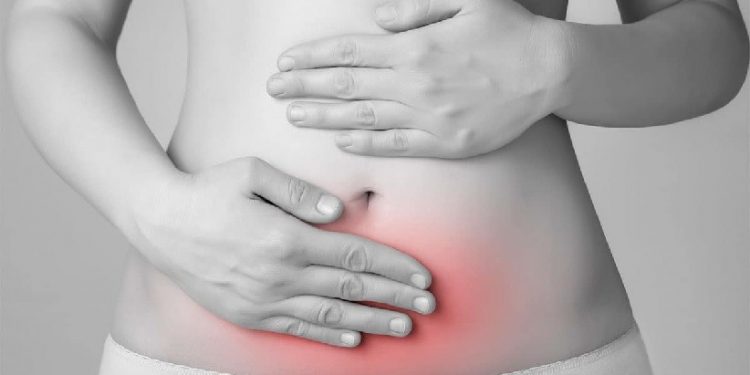 Endometriose afeta cerca de 7 a 10 milhões de brasileiras; doença exige atenção e cuidados com a saúde feminina - Crédito das fotos: Divulgação Endometriose afeta cerca de 7 a 10 milhões de brasileiras; doença exige atenção e cuidados com a saúde feminina - Crédito das fotos: Divulgação