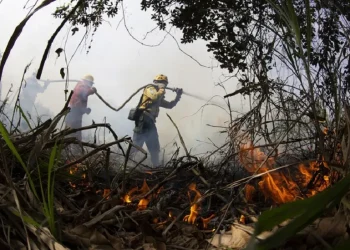 Combate a incêndios na região de Corumbá, no Mato Grosso do Sul. Foto: Fernando Donasci/MMA