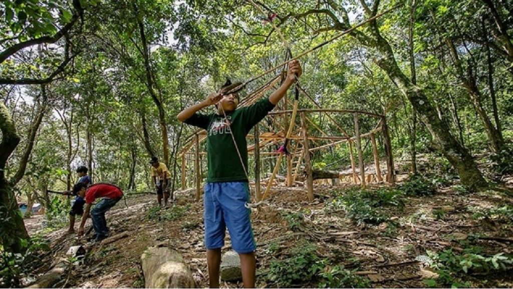 A área indígena ficou "espremida" entre rodovias de SP - Foto: Reprodução