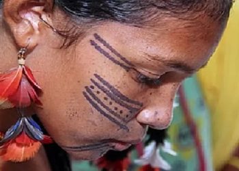 Arqueologia comprova presença indígena antiga e sofisticada na Amazônia Foto: Divulgação