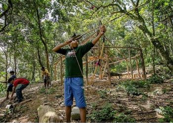A área indígena ficou "espremida" entre rodovias de SP - Foto: Reprodução