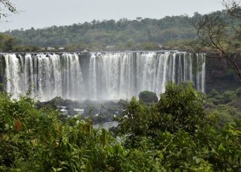 Crédito das fotografias: Bruna Nieradka