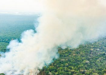 Governo Federal trabalha na ampliação das ações de combate aos incêndios no país - Foto: Ricardo Stuckert / PR