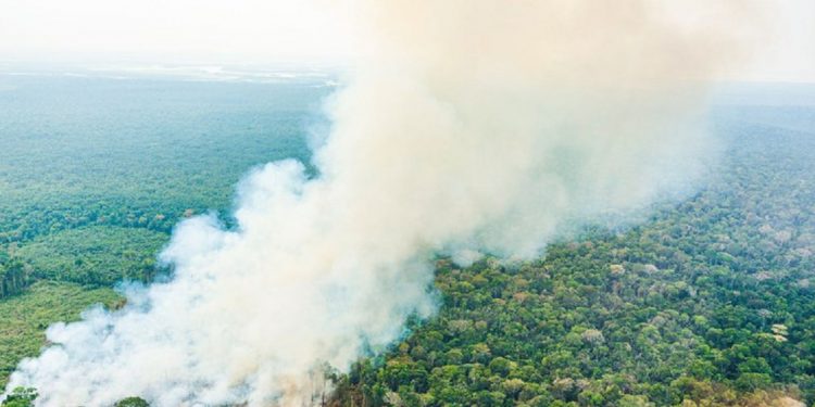 Governo Federal trabalha na ampliação das ações de combate aos incêndios no país - Foto: Ricardo Stuckert / PR Governo Federal trabalha na ampliação das ações de combate aos incêndios no país - Foto: Ricardo Stuckert / PR