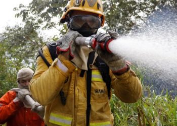 Dos 112 incêndios registrados nas últimas semanas na região do Pantanal, 18 estão ativos, 23 estão controlados e 71 já foram extintos - Foto: Fernando Donasci / MMA