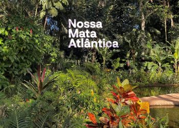 Foto: Divulgação/Parque das Aves