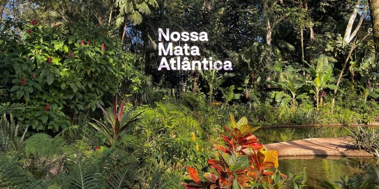 Foto: Divulgação/Parque das Aves
Foto: Divulgação/Parque das Aves