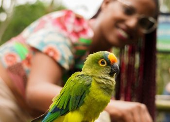 Foto: Divulgação/Parque das Aves