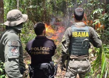 Os dados do Censipam mostram uma redução contínua na abertura de garimpos ao longo de 2024 - Foto: Polícia Federal/Divulgação
