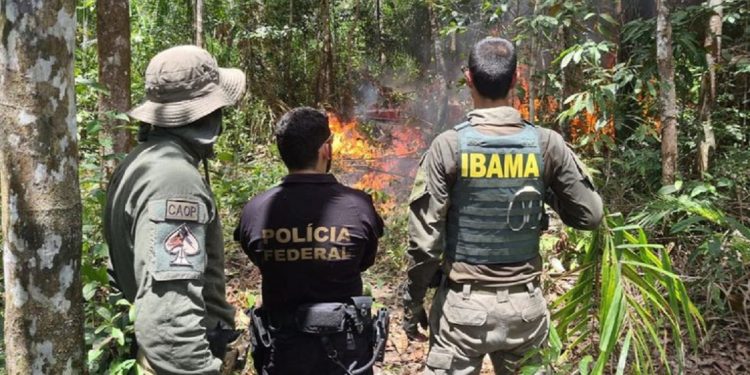 Os dados do Censipam mostram uma redução contínua na abertura de garimpos ao longo de 2024 - Foto: Polícia Federal/Divulgação Os dados do Censipam mostram uma redução contínua na abertura de garimpos ao longo de 2024 - Foto: Polícia Federal/Divulgação
