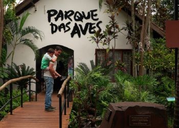 Foto: Divulgação/Parque das Aves