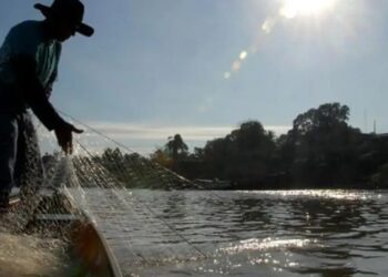 O Programa de Transferência de Renda (PTR) destinará um auxílio mensal para apoiar financeiramente mais de 22 mil pescadores afetados, por até quatro anos - Foto: Arquivo/Agência Brasil