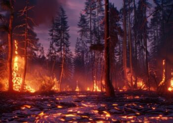 Desastres naturais e atos criminosos têm contribuído para a destruição do planeta. Foto: Freepik