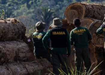 Ibama, Exército e Polícia Militar de Rondônia fiscalizam cadeia de custódia da madeira e desmatamento ilegal em Espigão do Oeste (RO). (Crédito: Fernando Augusto/Ibama)