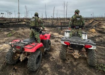 O trabalho de investigação da Polícia Federal inclui o envio de peritos especializados aos locais afetados e o uso de tecnologia avançada para identificar os pontos de origem dos incêndios - Foto: PF/Divulgação