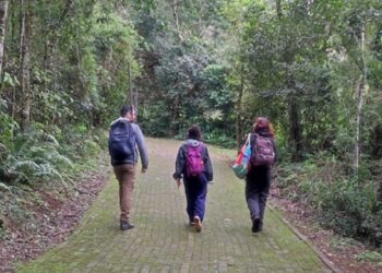 Ana Beatriz Monteiro (dir) durante coleta de material em área de Mata Atlântica de Foz