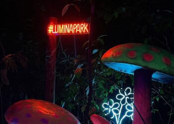Foto: Wonder Park Foz