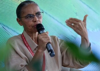 Marina Silva frisou que é preciso repensar a arquitetura global de financiamento, inclusive do Fundo Global para o Meio Ambiente. - Foto: Felipe Werneck/MMA