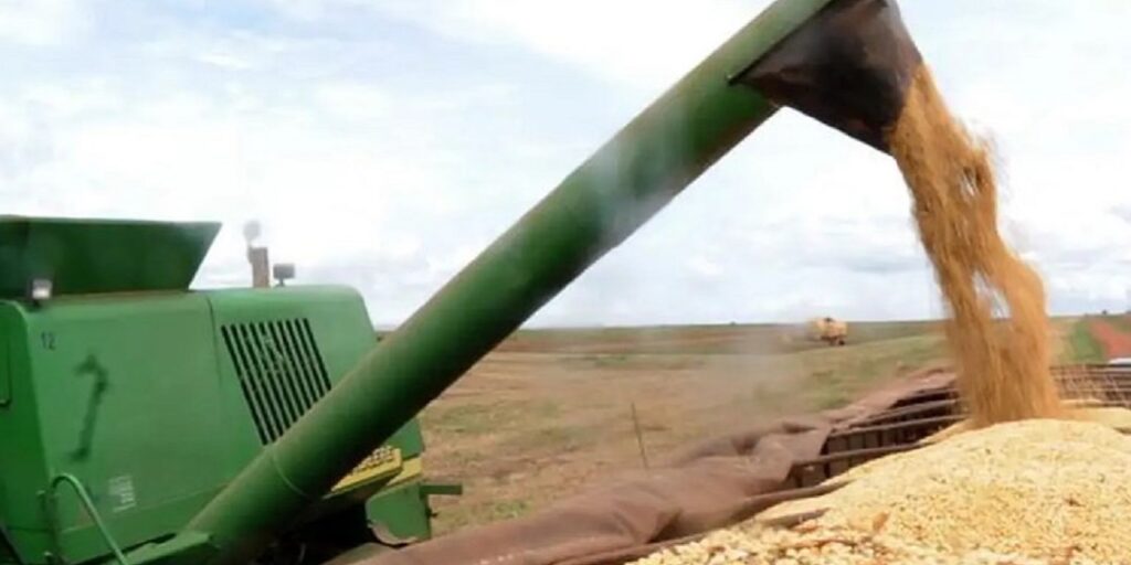 De acordo com a estimativa da Conab, o maior crescimento é esperado para a área semeada de arroz, que deve passar de 1,6 milhão de hectares em 2023/24 para 1,77 milhão de hectares no atual ciclo - Foto: Agência Brasil