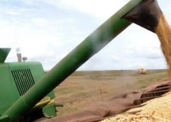 De acordo com a estimativa da Conab, o maior crescimento é esperado para a área semeada de arroz, que deve passar de 1,6 milhão de hectares em 2023/24 para 1,77 milhão de hectares no atual ciclo - Foto: Agência Brasil