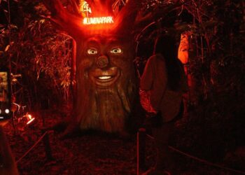 Foto: Divulgação/Wonder Park Foz