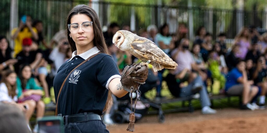 Foto: Divulgação/Dreams Eco Park