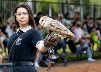 Foto: Divulgação/Dreams Eco Park
